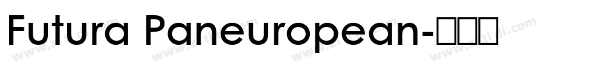 Futura Paneuropean字体转换